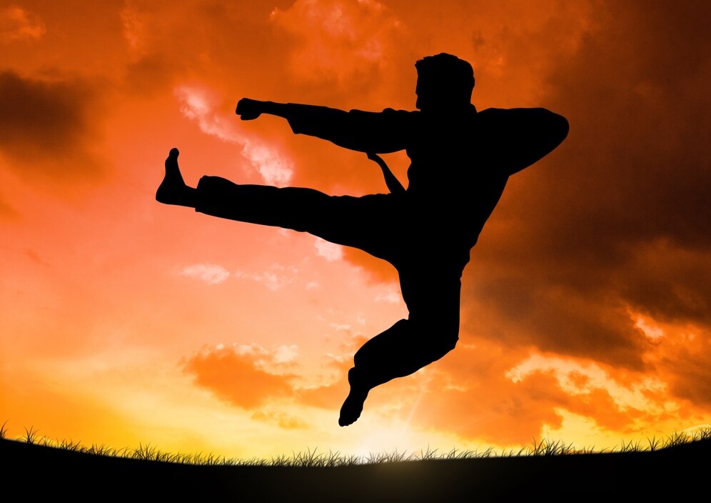 A silhouette of a man practicing kung fu with a background of a picturesque sunset.
Source: Freepik