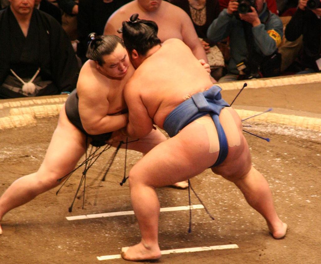 Two men fighting in sumo style.
Source: Wikipedia