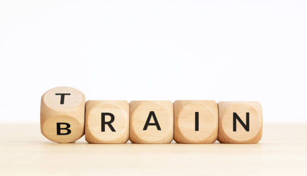 Cubes with written “train brain” as a symbol of connection between motivation for the body, coming from your mind.