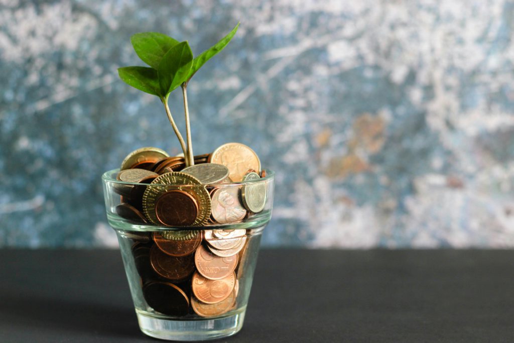 A plant growing in a glass full of coins as a symbol of growing in the fitness business.