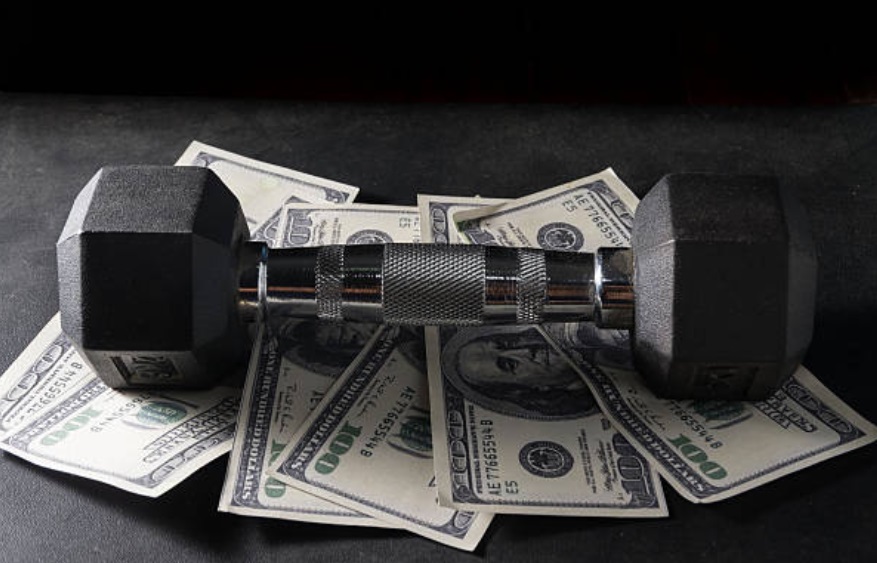 What are the average fitness franchise earnings?