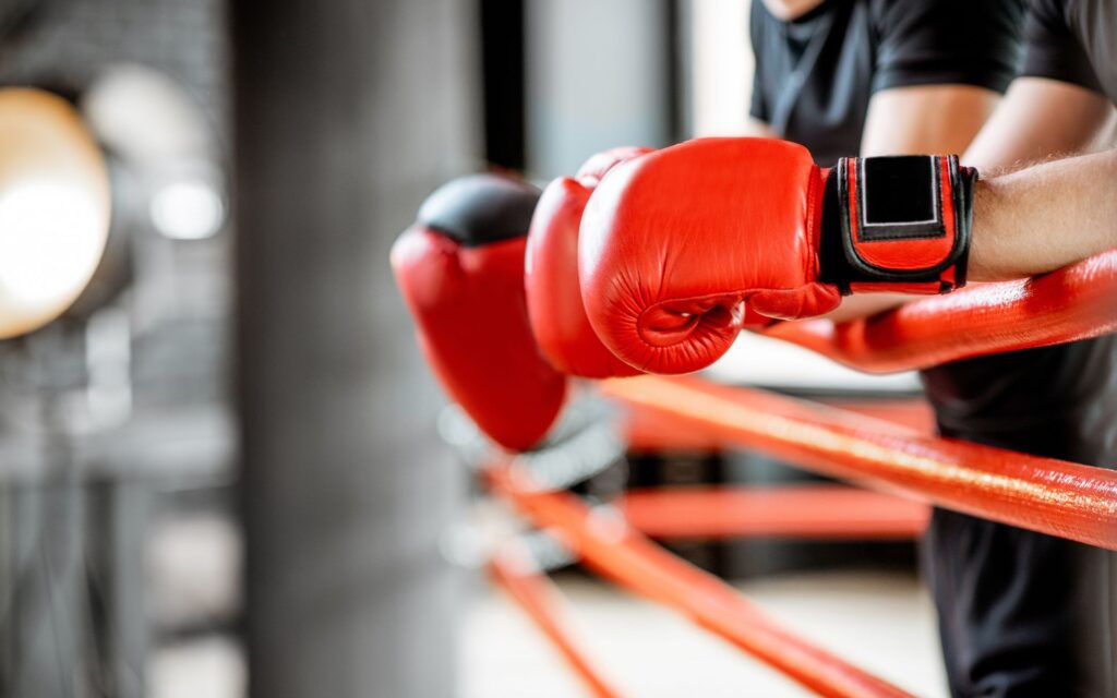 Find perfect boxing equipment, eg. boxing gloves