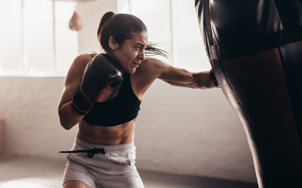 Punching bag for professional boxers