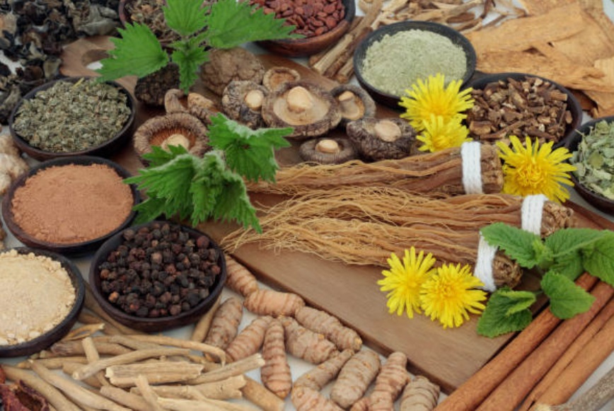 Adaptogens - mushrooms or herbs - are one of nutritional yoga trends.