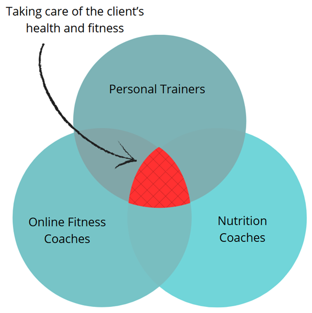 A personal trainer, health and wellness coaches and other coaches work together for the clients’ good results.