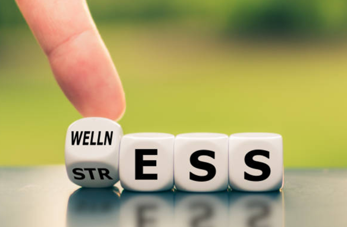 Overall well-being is valued by people more and more. Add such classes to your offer and you will be competitive in the fitness industry.