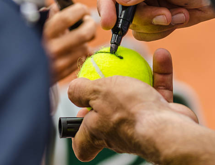 Invite celebrities to your tennis club - it may be an amazing experience for the tennis enthusiasts and so, a perfect image-booster for your tennis business.