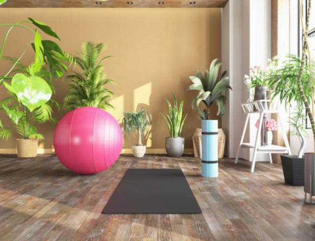 Natural materials and plants in a fitness center create a calm atmosphere, perfect for a yoga studio.