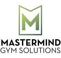 Mastermind’s logo - this system is not actually a typical management software, but also an advice program.
