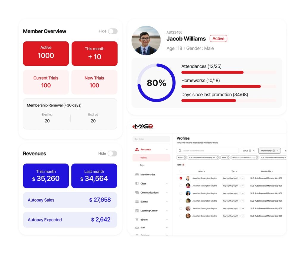 Member overview in a martial arts school management system.