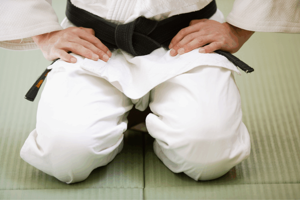 Choose best software for judo schools