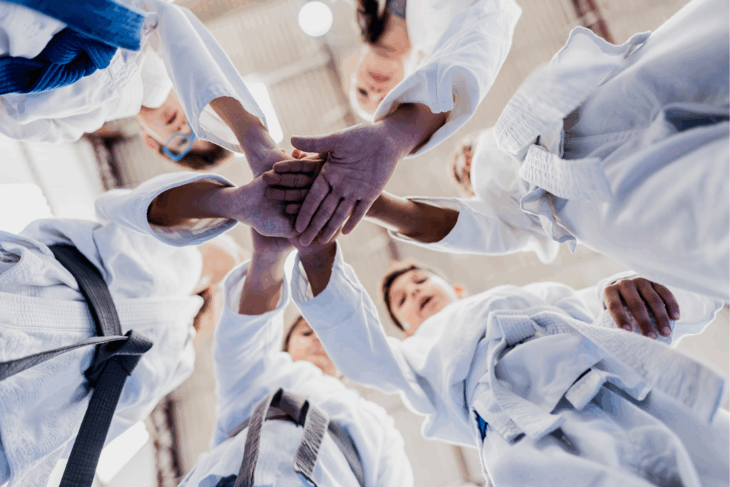 How to choose perfect judo management software in 2026?